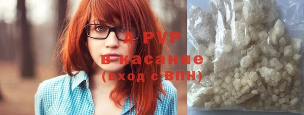 сатива Дмитров