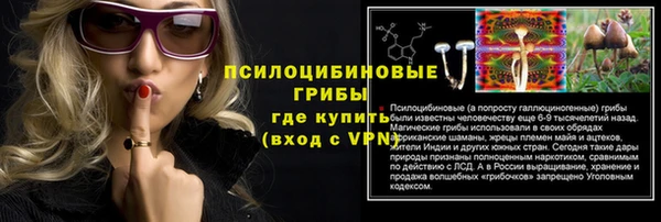 молекула духа Гусь-Хрустальный