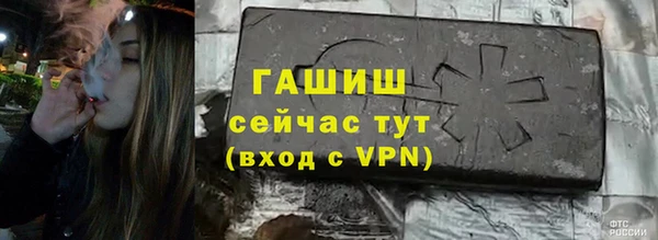 дурь Гусев