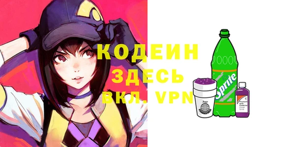 дурь Гусев