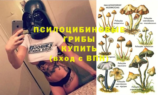 МДМА Дмитровск