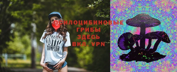 сатива Дмитров