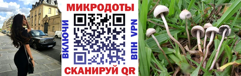 Псилоцибиновые грибы прущие грибы  купить наркотик  Ермолино 